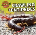 Cover: Crawling Centipedes - PowerKids Press