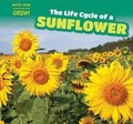 Cover: The Life Cycle of a Sunflower - PowerKids Press