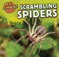 Cover: Scrambling Spiders - PowerKids Press