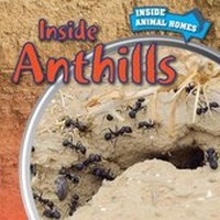 Enlarge image Cover: Inside Anthills - PowerKids Press