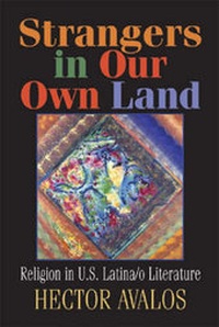 Enlarge image Cover: Strangers in Our Own Land - Abingdon Press