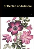 Cover: St Declan of Ardmore - Lulu Press Inc