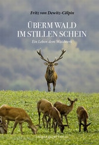 Abbildung von: Überm Wald im stillen Schein - Helms, Th