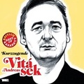 Cover: Kurzzugende - Hoanzl