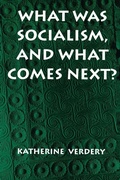 Cover: What Was Socialism, and What Comes Next? - Princeton University Press