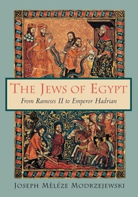 Enlarge image Cover: The Jews of Egypt - Princeton University Press