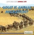 Cover: What Is Animal Migration? - Rosen Education Service