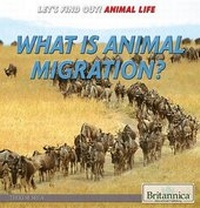 Enlarge image Cover: What Is Animal Migration? - Rosen Education Service