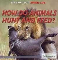 Enlarge image Cover: How Do Animals Hunt and Feed? - Rosen Education Service
