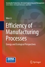Cover: Efficiency of Manufacturing Processes - Springer