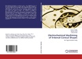 Cover: Electrochemical Machining of Internal Conical Shapes - LAP Lambert Academic Publishing