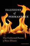 Cover: Illusions of Permanence - Chatwin Books