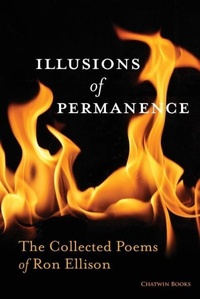 Enlarge image Cover: Illusions of Permanence - Chatwin Books