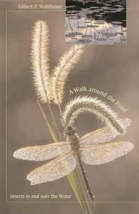 Abbildung von: A Walk around the Pond - Harvard University Press