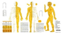 Abbildung von: Touch for Health Meridian Chart - DeVorss & Co ,U.S.