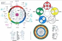 Abbildung von: Touch for Health Assessment Chart - DeVorss & Co ,U.S.