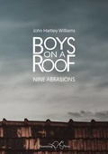 Cover: Boys on a Roof - Shoestring Press