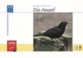 Cover: Die Amsel - Militzke Verlag GmbH