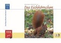 Cover: Das Eichh&ouml;rnchen - Militzke Verlag GmbH