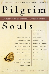 Enlarge image Cover: Pilgrim Souls - Touchstone