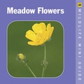 Cover: Meadow Flowers - Automobile Association