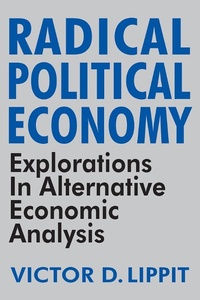 Enlarge image Cover: Radical Political Economy - Routledge