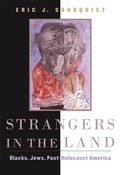 Cover: Strangers in the Land - The Belknap Press