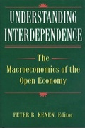 Cover: Understanding Interdependence - Princeton University Press