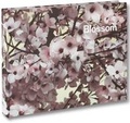 Cover: Blossom - Mack