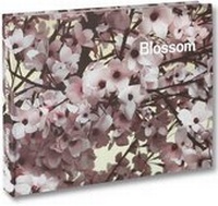 Enlarge image Cover: Blossom - Mack