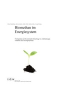 Cover: Biomethan im Energiesystem. - Institut f&uuml;r &ouml;kologische Wirtschaftsforschung Berlin
