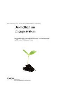 Enlarge image Cover: Biomethan im Energiesystem. - Institut für ökologische Wirtschaftsforschung Berlin