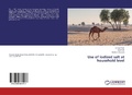 Cover: Use of iodized salt at household level - LAP Lambert Academic Publishing