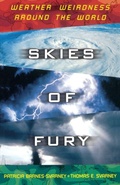 Cover: Skies of Fury - Touchstone
