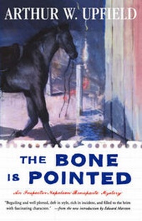 Abbildung von: The Bone is Pointed - Prentice Hall & IBD