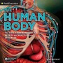 Cover: The Human Body - Viking Juvenile