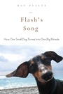 Cover: Flash's Song - Skyhorse Publishing