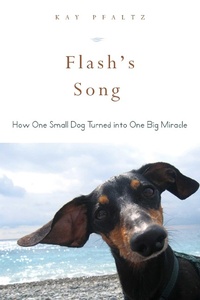 Enlarge image Cover: Flash's Song - Skyhorse Publishing