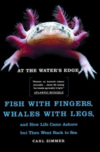 Enlarge image Cover: At the Water's Edge - Touchstone