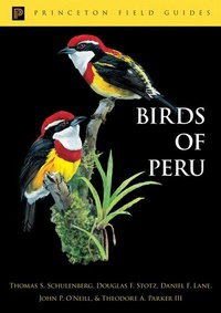 Enlarge image Cover: Birds of Peru - Princeton University Press