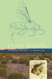 Enlarge image Cover: The Sand Wasps - Harvard University Press