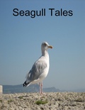 Cover: Seagull Tales - Lulu.com