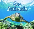 Cover: Sea Animals - Raintree Publishers