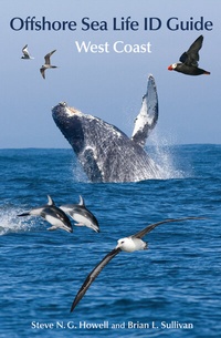 Abbildung von: Offshore Sea Life ID Guide - Princeton University Press