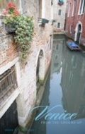 Cover: Venice from the Ground Up - The Belknap Press