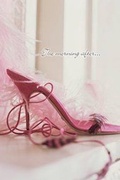 Cover: Shoes Silk Journal - New Holland Publishers