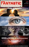 Cover: Fantastic Stories of the Imagination #222 - Wilder Publications