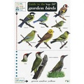 Cover: Guide to the Top 50 Garden Birds - Field Studies Council