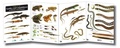 Cover: Guide to the Reptiles and Amphibians of Britain and Ireland - Field Studies Council
