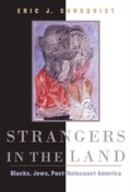 Cover: Strangers in the Land - The Belknap Press